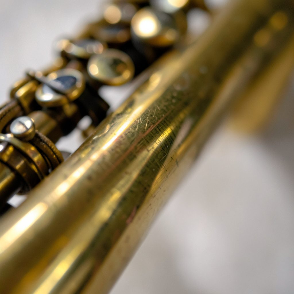 Detail of a brass instrument with muted reflections, photographed in shallow depth of field